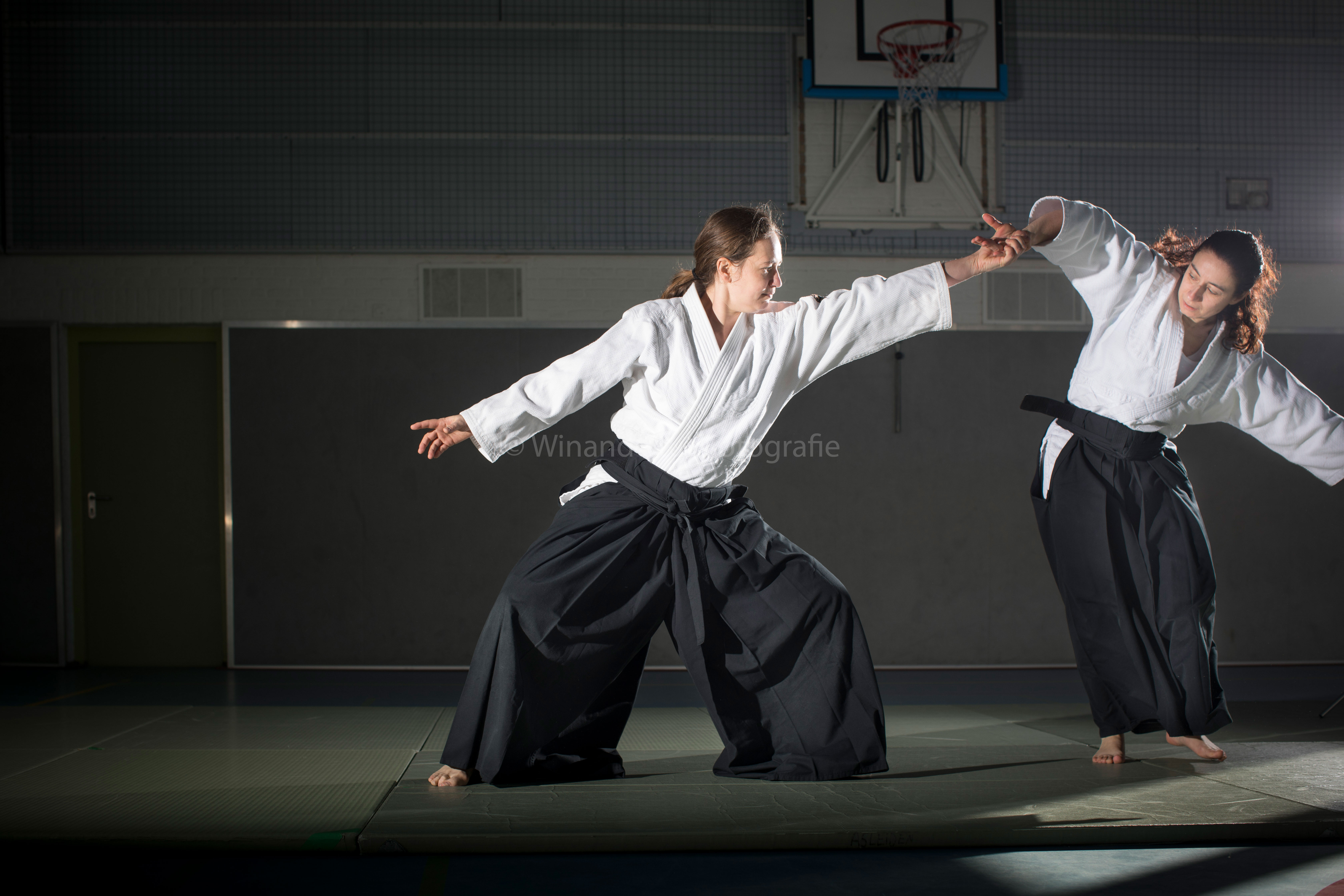 Aikido lessen in Leiden
