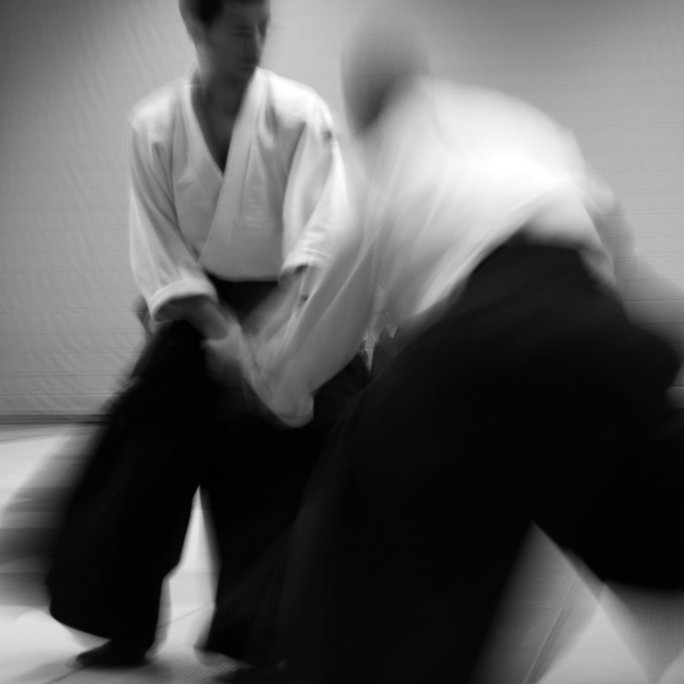 Aikido lessen in Leiden